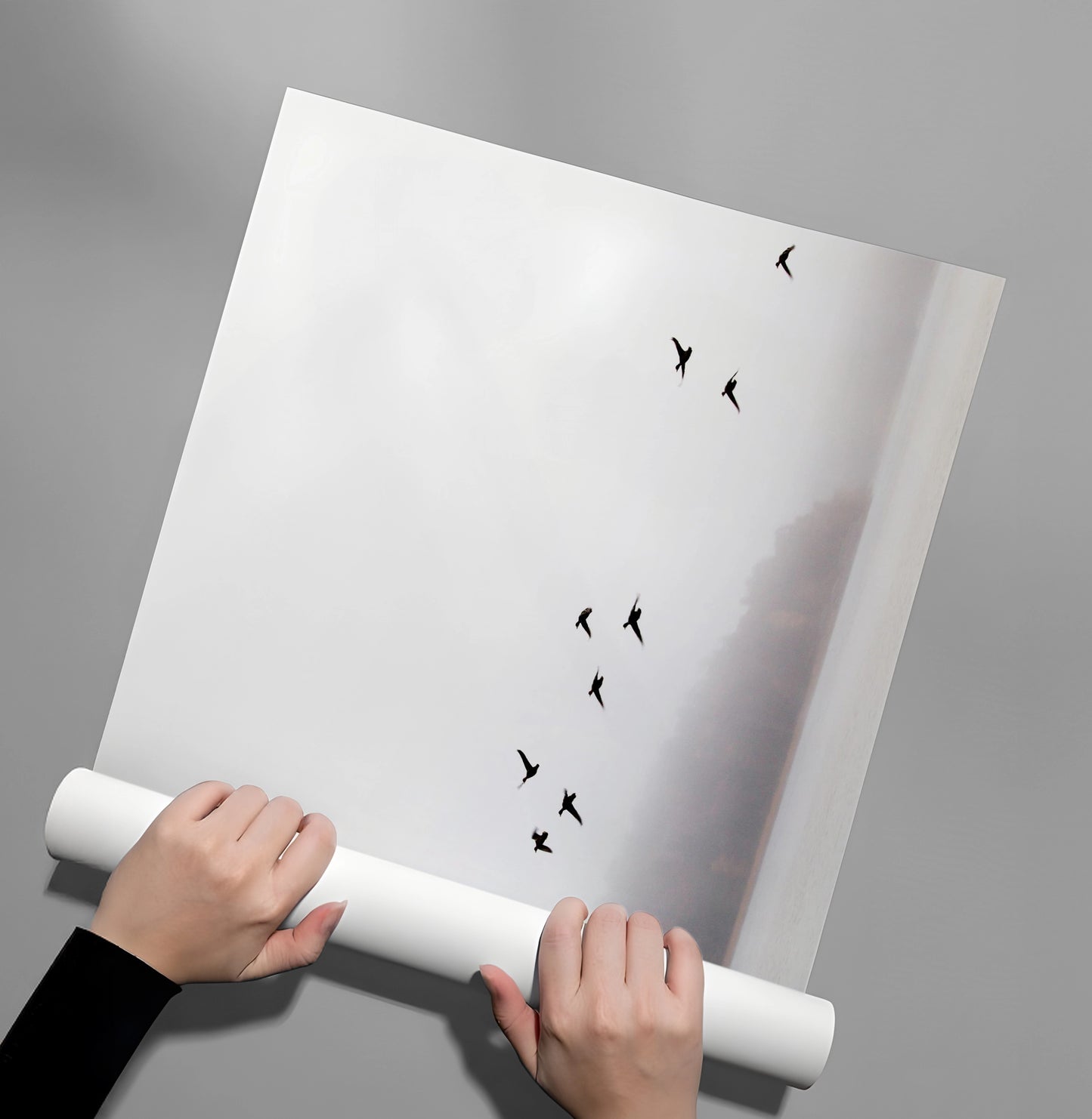 2Minimalist Birds Over Misty Lake - Poster