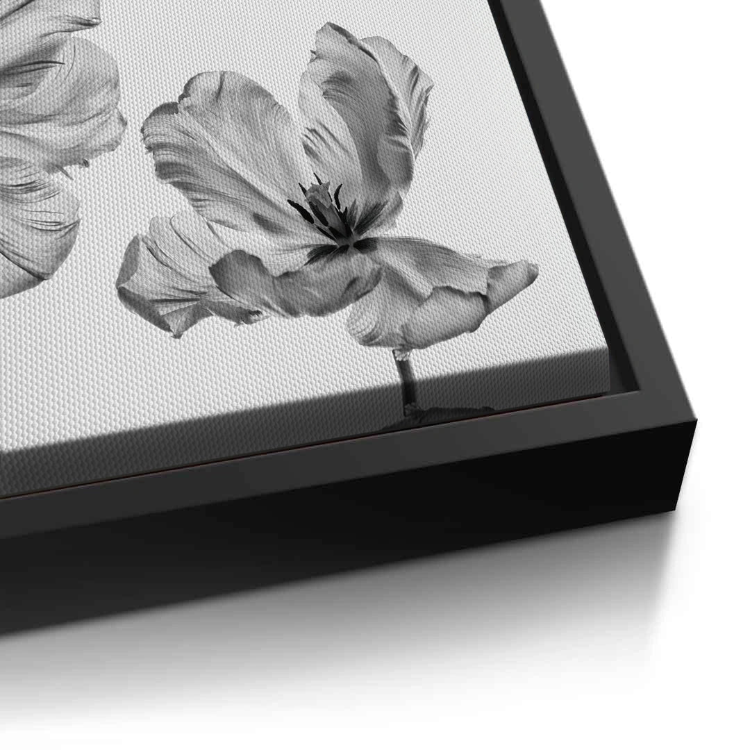 2Minimalist Black and White Tulip - Canvas