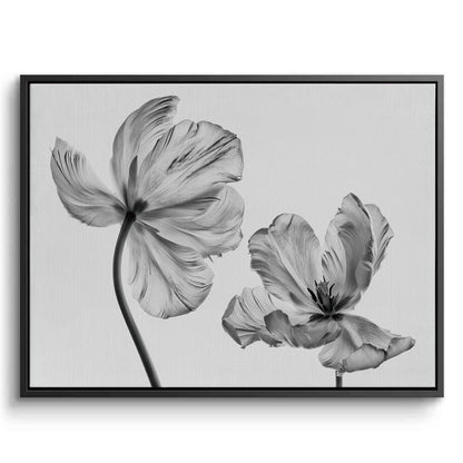Minimalist Black and White Tulip - Canvas