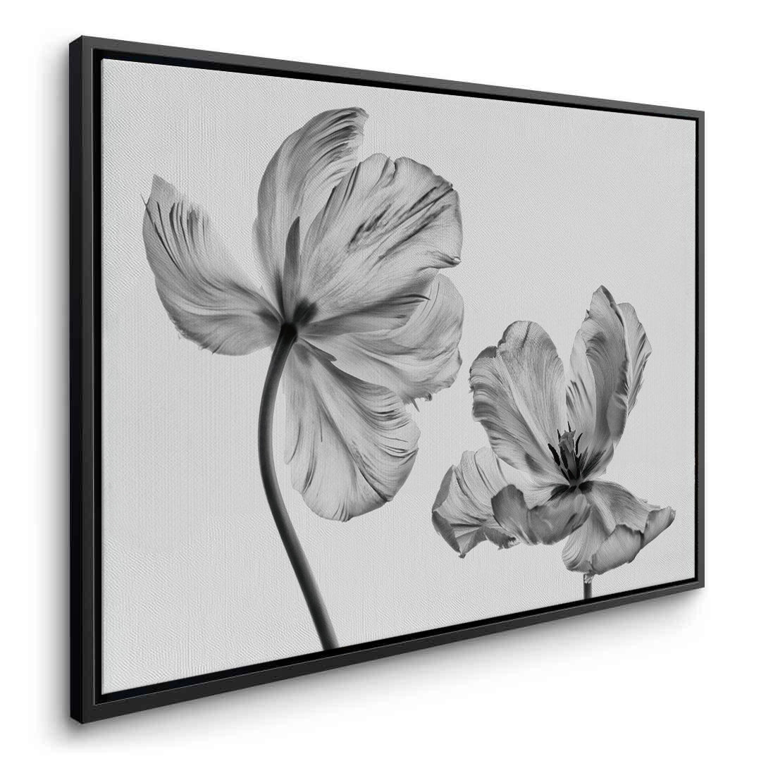 2Minimalist Black and White Tulip - Canvas