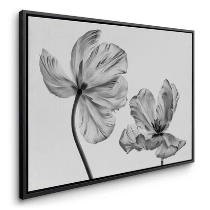 Minimalist Black and White Tulip - Canvas