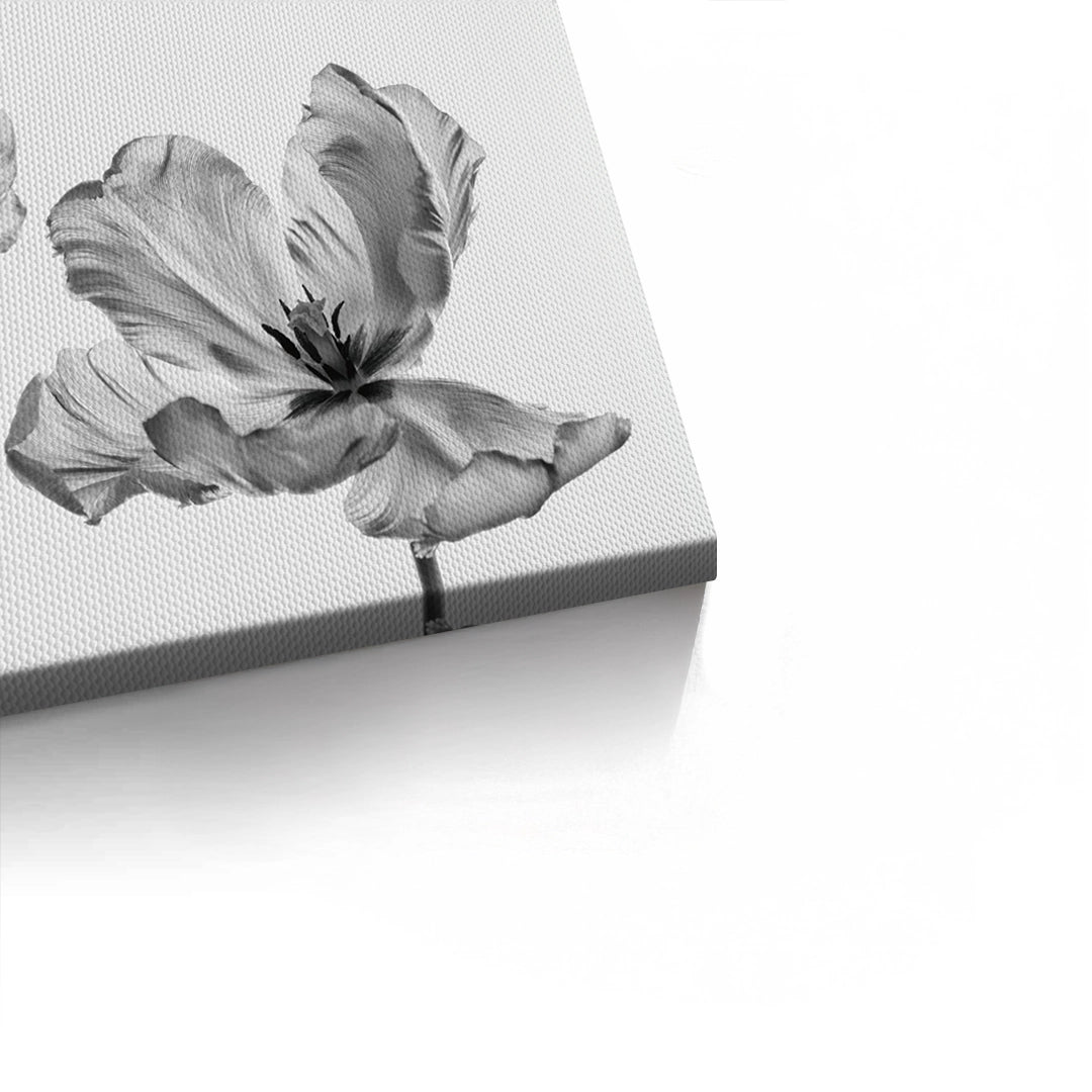 2Minimalist Black and White Tulip - Canvas