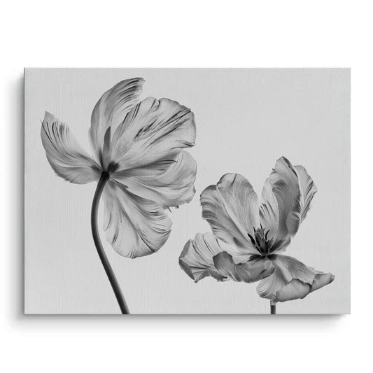 Minimalist Black and White Tulip - Canvas