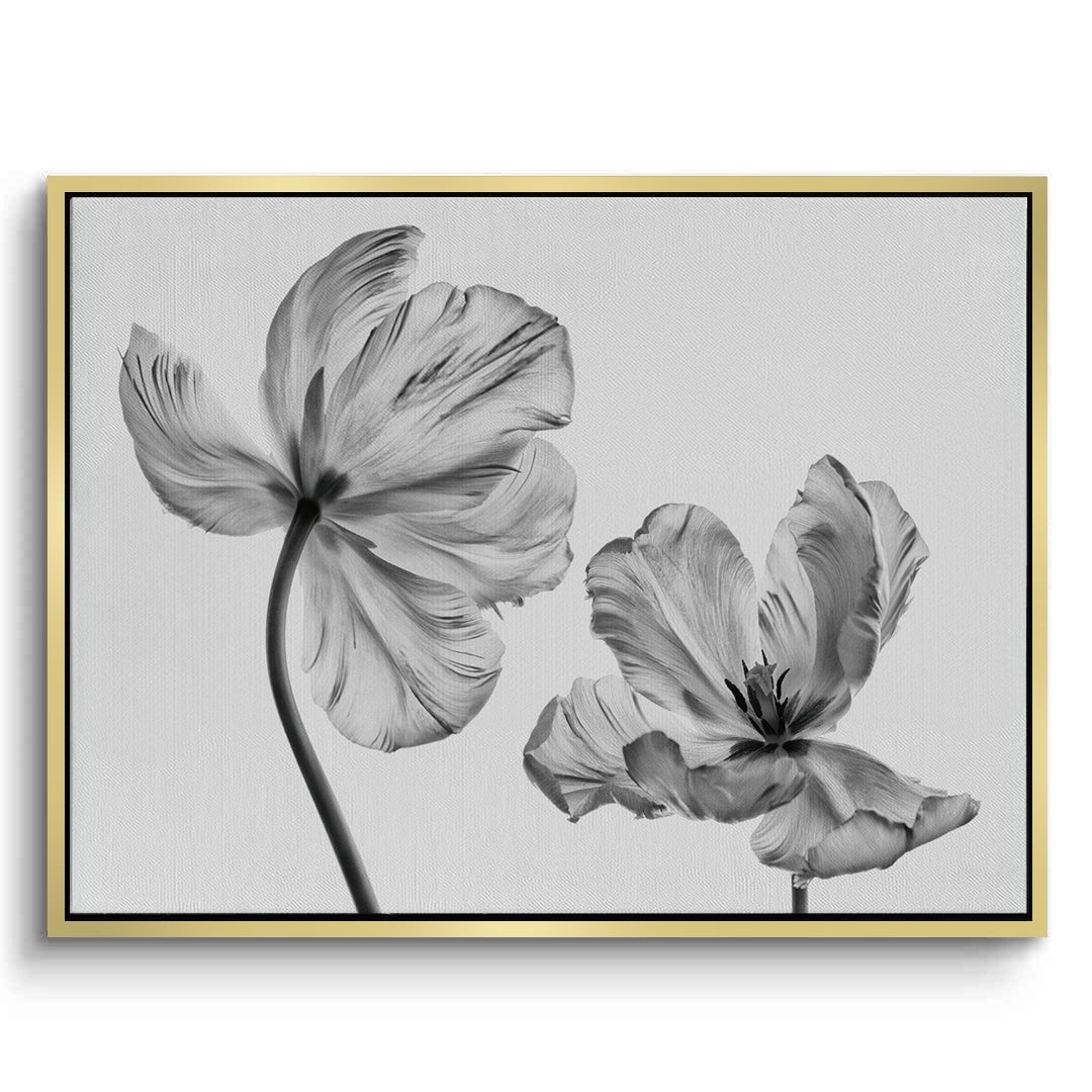 2Minimalist Black and White Tulip - Canvas
