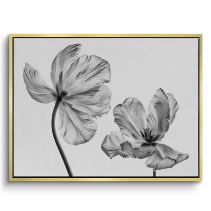 Minimalist Black and White Tulip - Canvas