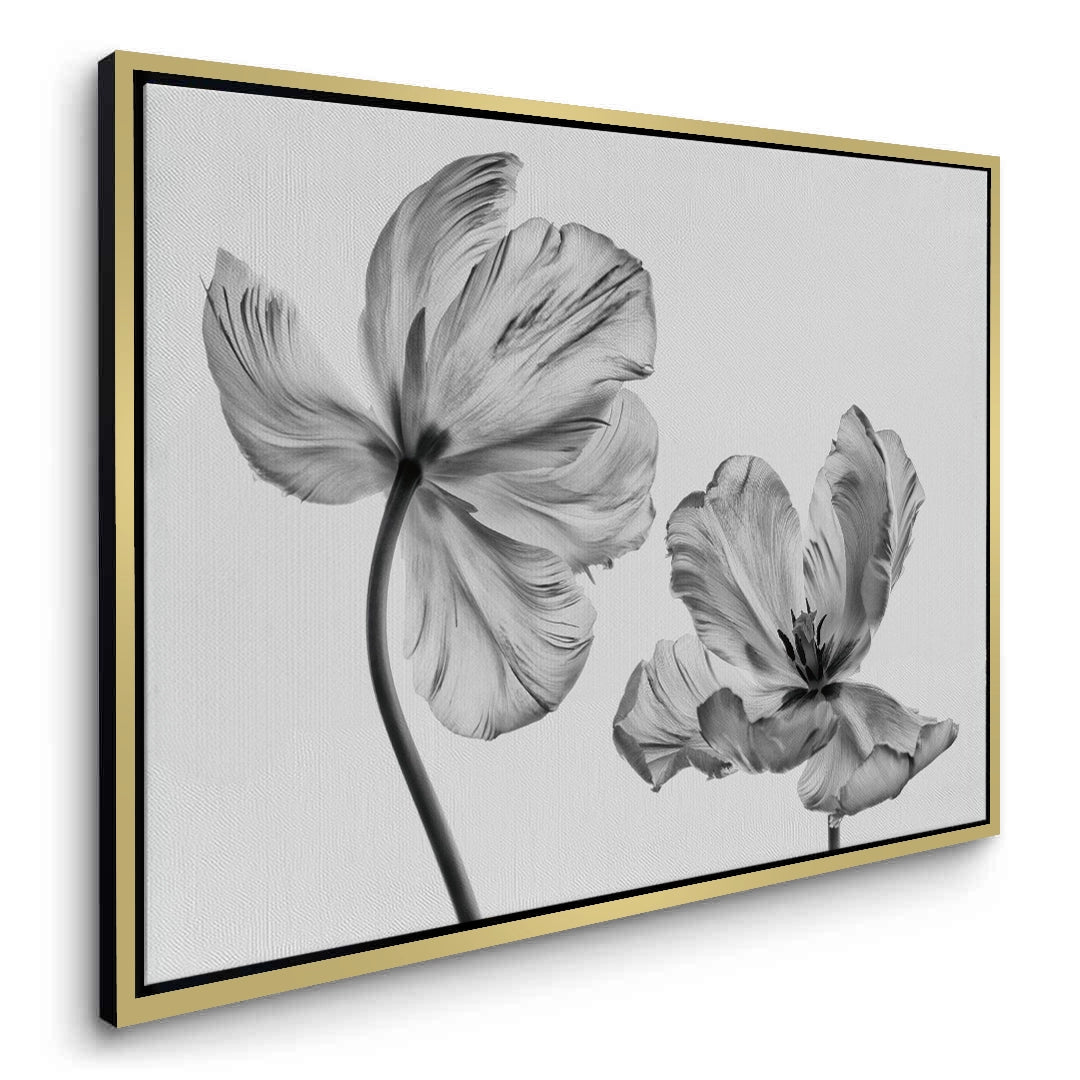 2Minimalist Black and White Tulip - Canvas