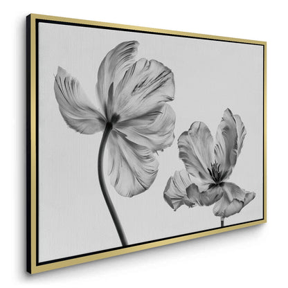 Minimalist Black and White Tulip - Canvas