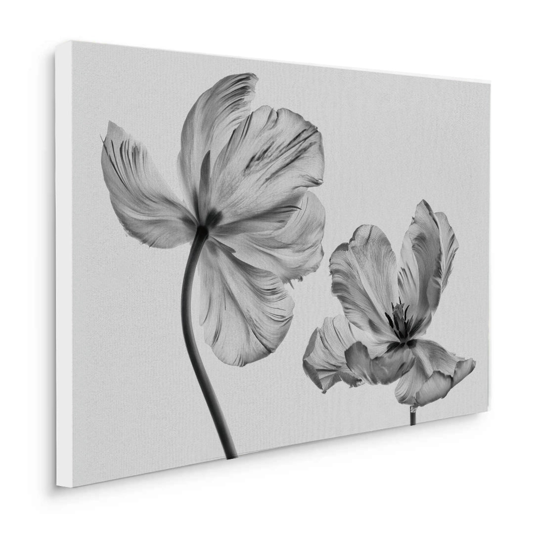 2Minimalist Black and White Tulip - Canvas