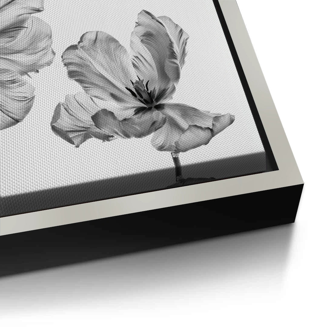 2Minimalist Black and White Tulip - Canvas