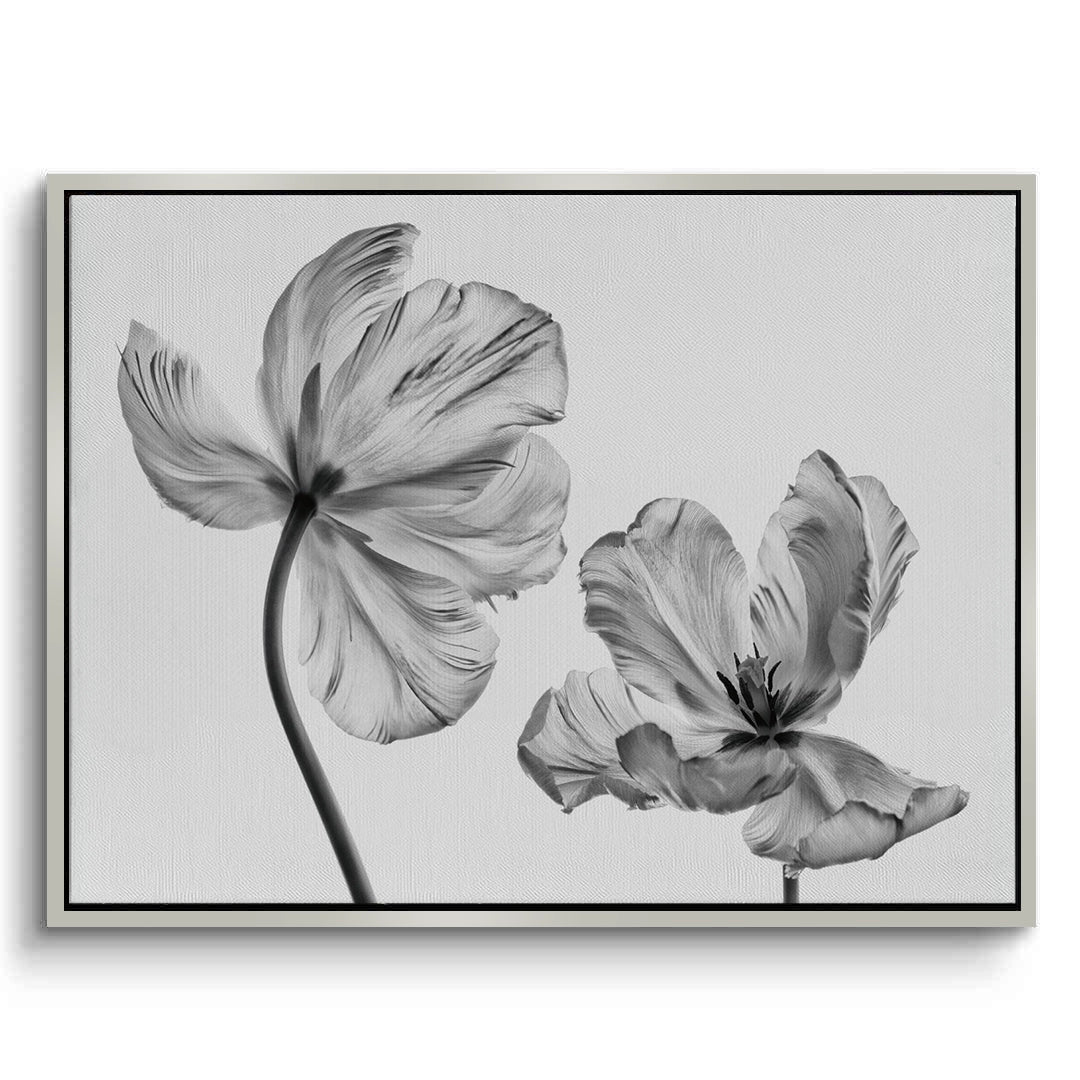 2Minimalist Black and White Tulip - Canvas
