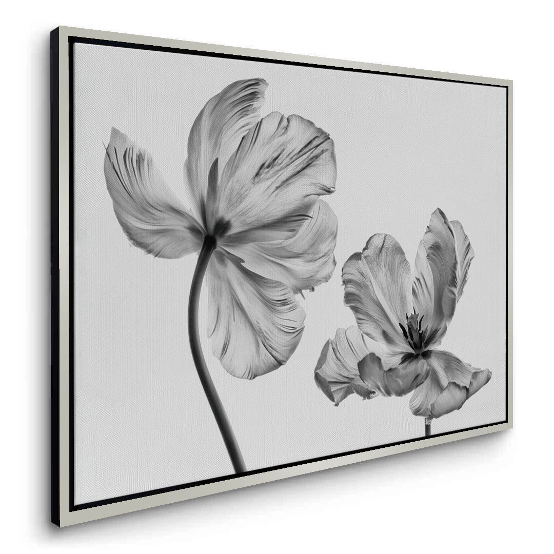 2Minimalist Black and White Tulip - Canvas