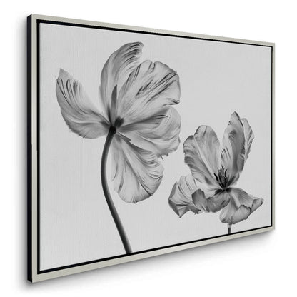 Minimalist Black and White Tulip - Canvas