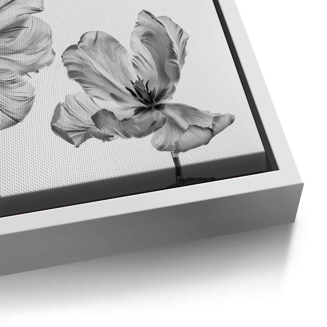 2Minimalist Black and White Tulip - Canvas