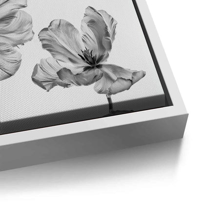 Minimalist Black and White Tulip - Canvas