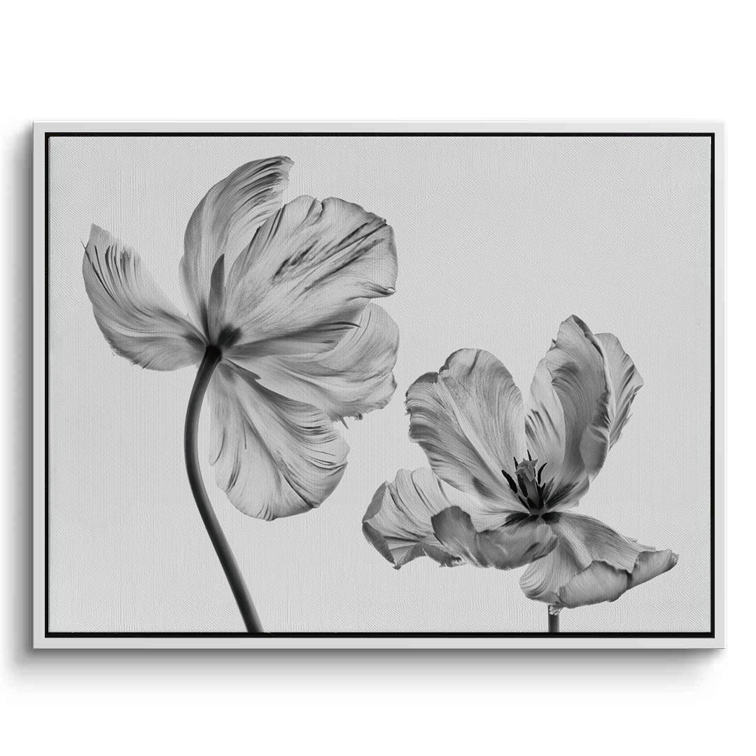 2Minimalist Black and White Tulip - Canvas