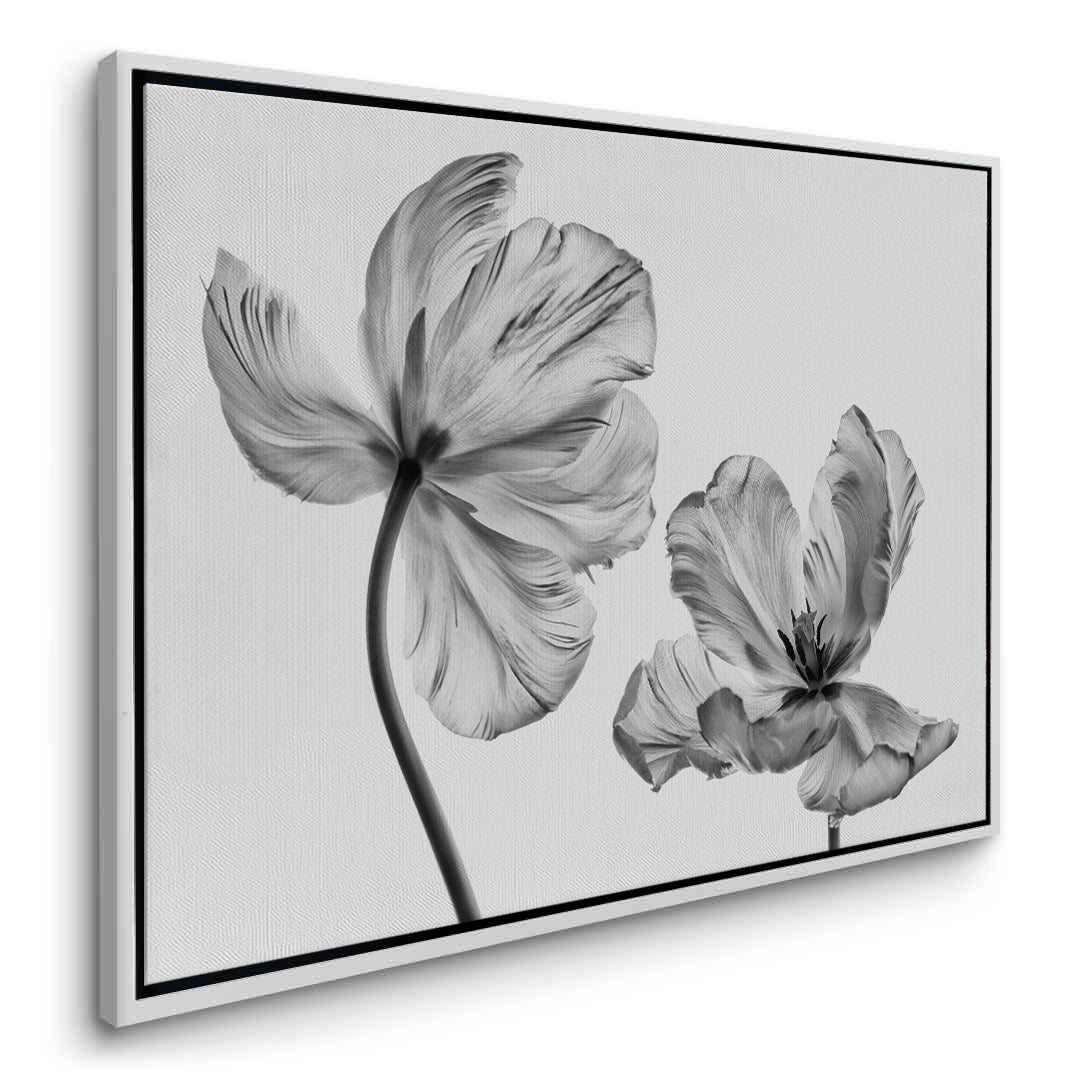 2Minimalist Black and White Tulip - Canvas