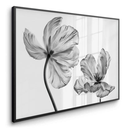 Minimalist Black and White Tulip - Fine Art