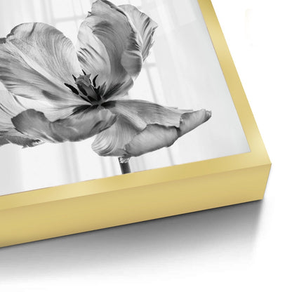 Minimalist Black and White Tulip - Fine Art