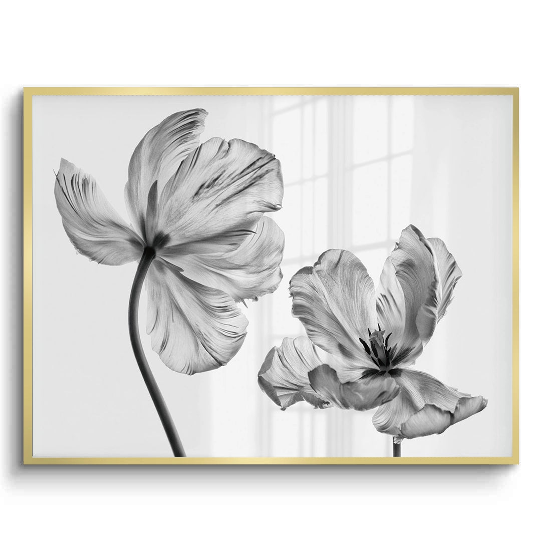 2Minimalist Black and White Tulip - Fine Art