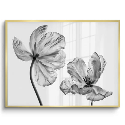 Minimalist Black and White Tulip - Fine Art