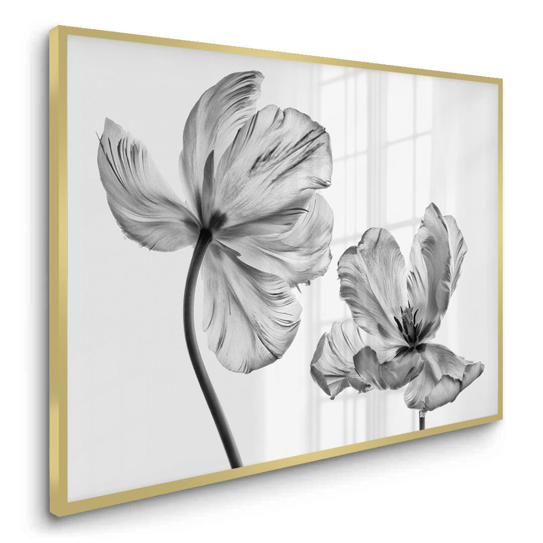 2Minimalist Black and White Tulip - Fine Art