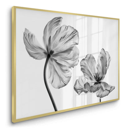 Minimalist Black and White Tulip - Fine Art