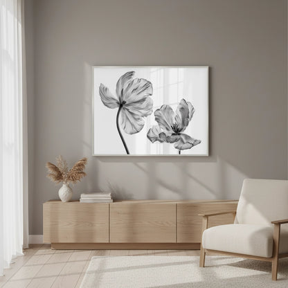 Minimalist Black and White Tulip - Fine Art