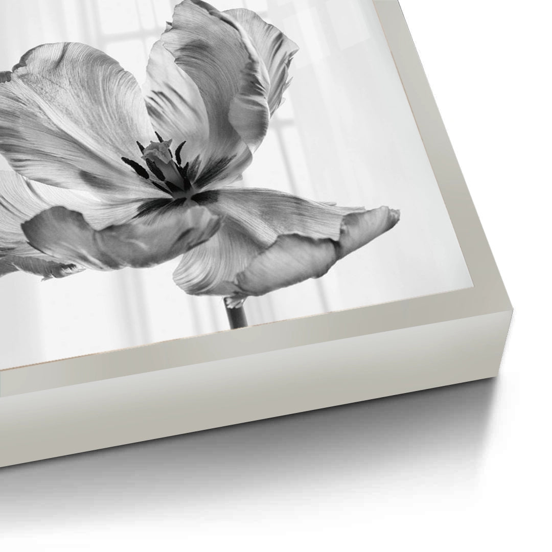 2Minimalist Black and White Tulip - Fine Art