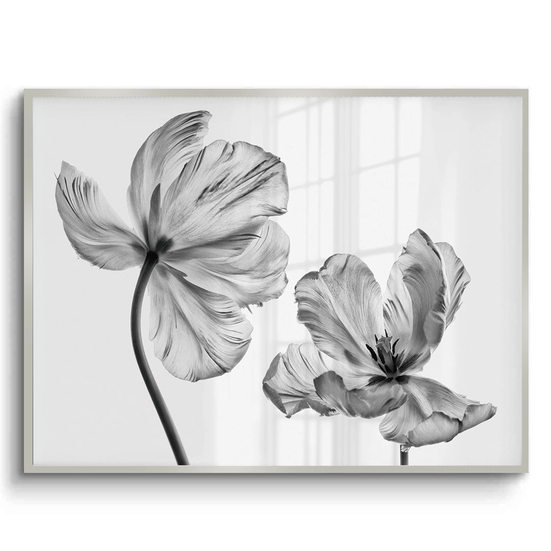 2Minimalist Black and White Tulip - Fine Art