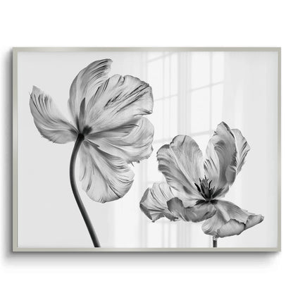 Minimalist Black and White Tulip - Fine Art