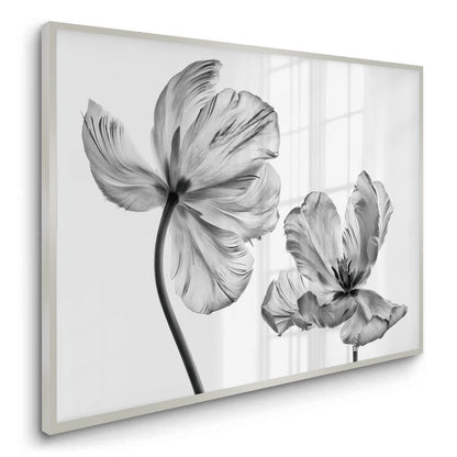 Minimalist Black and White Tulip - Fine Art