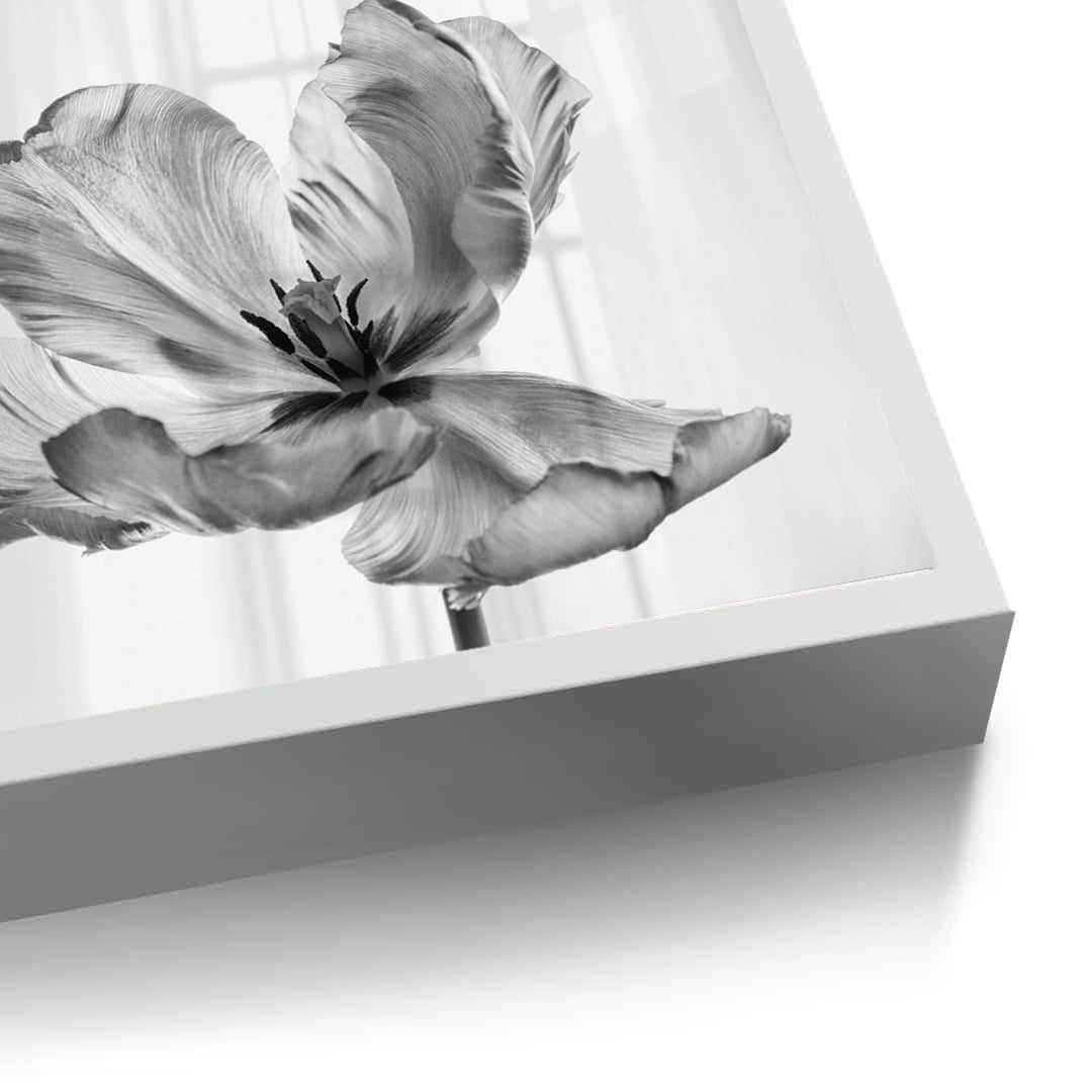 2Minimalist Black and White Tulip - Fine Art