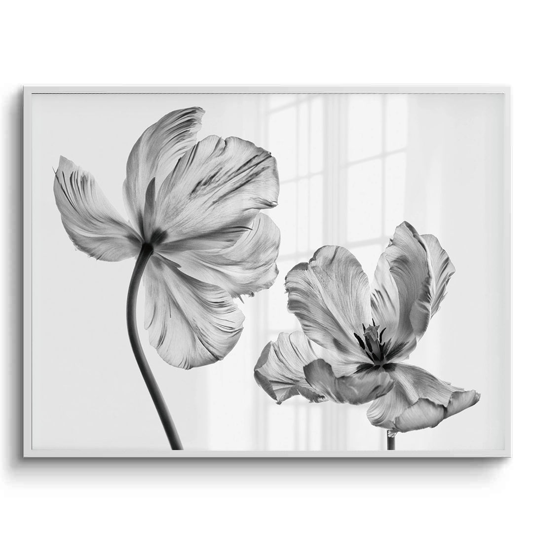 2Minimalist Black and White Tulip - Fine Art
