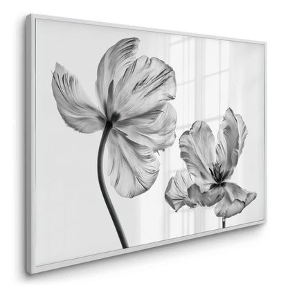 Minimalist Black and White Tulip - Fine Art