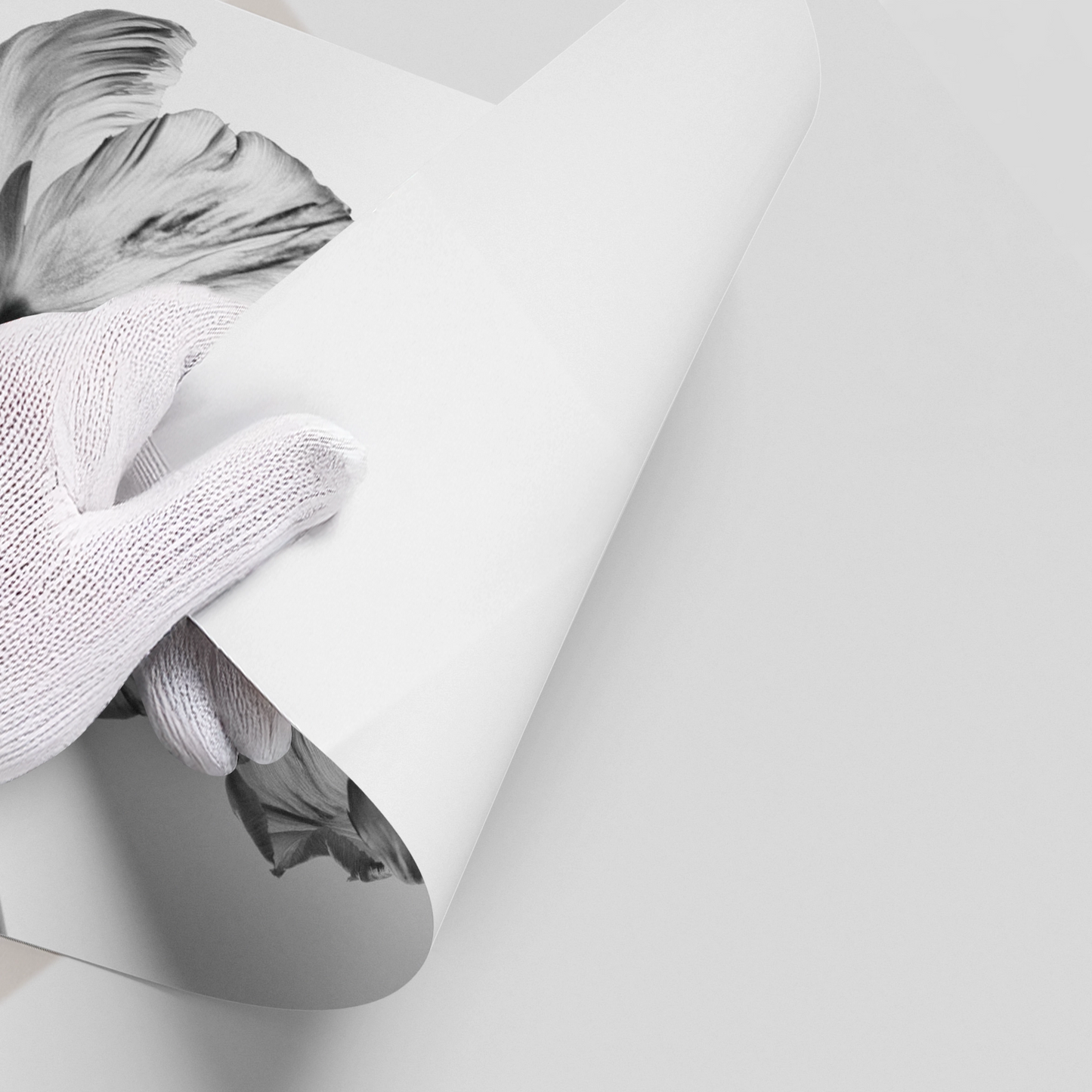 2Minimalist Black and White Tulip - Poster