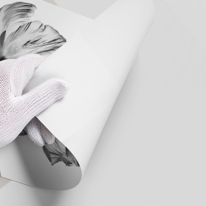 Minimalist Black and White Tulip - Poster