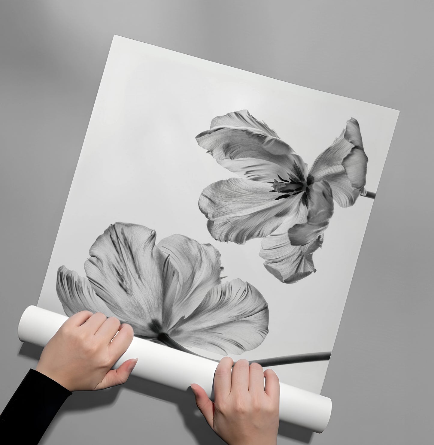 2Minimalist Black and White Tulip - Poster