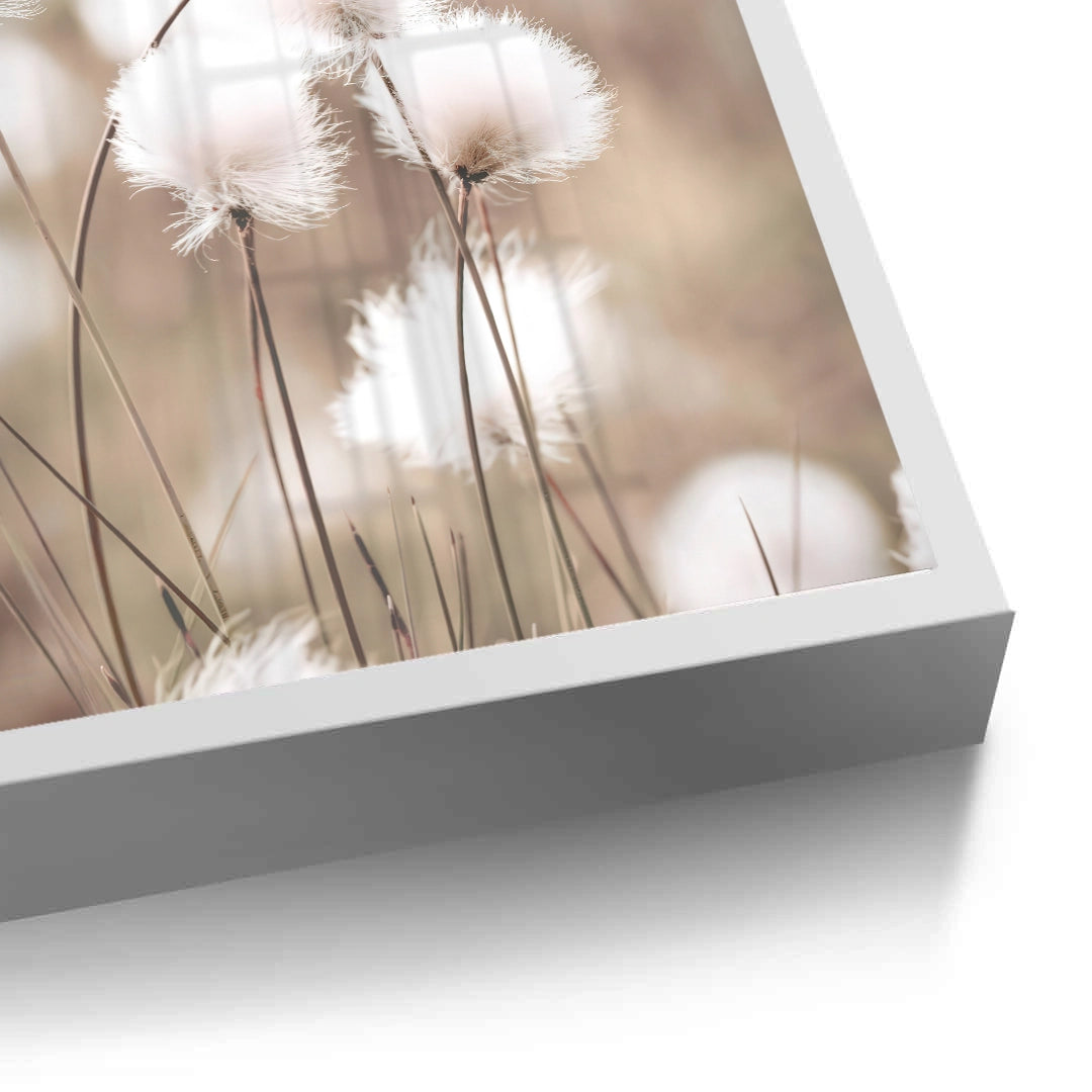 2Minimalist Botanical - Fine Art