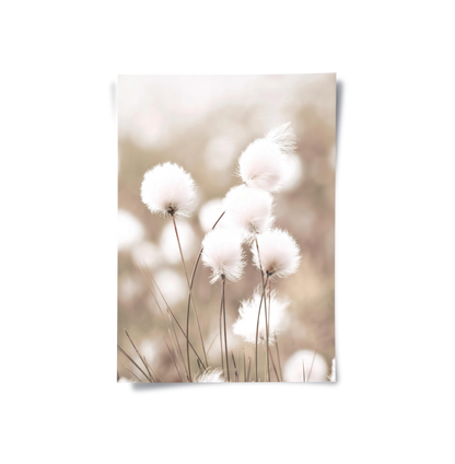 Minimalist Botanical - Poster