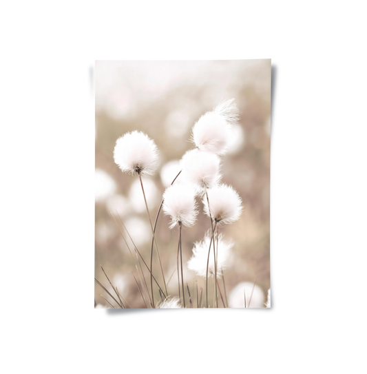 Minimalist Botanical - Poster