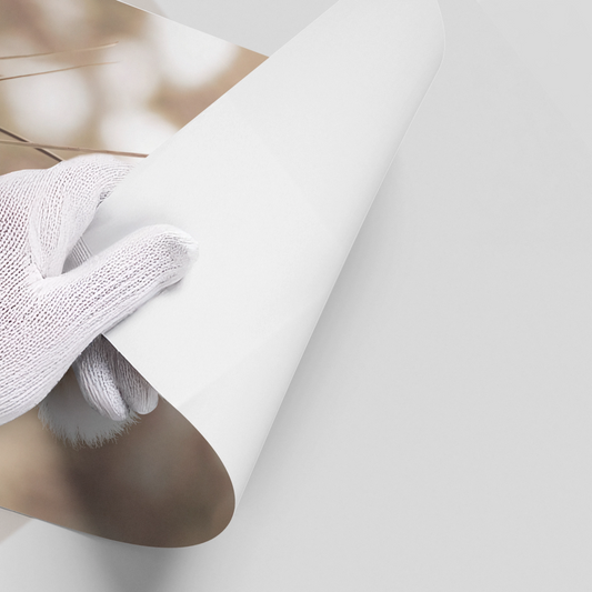 Minimalist Botanical - Poster