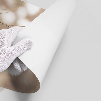 Minimalist Botanical - Poster