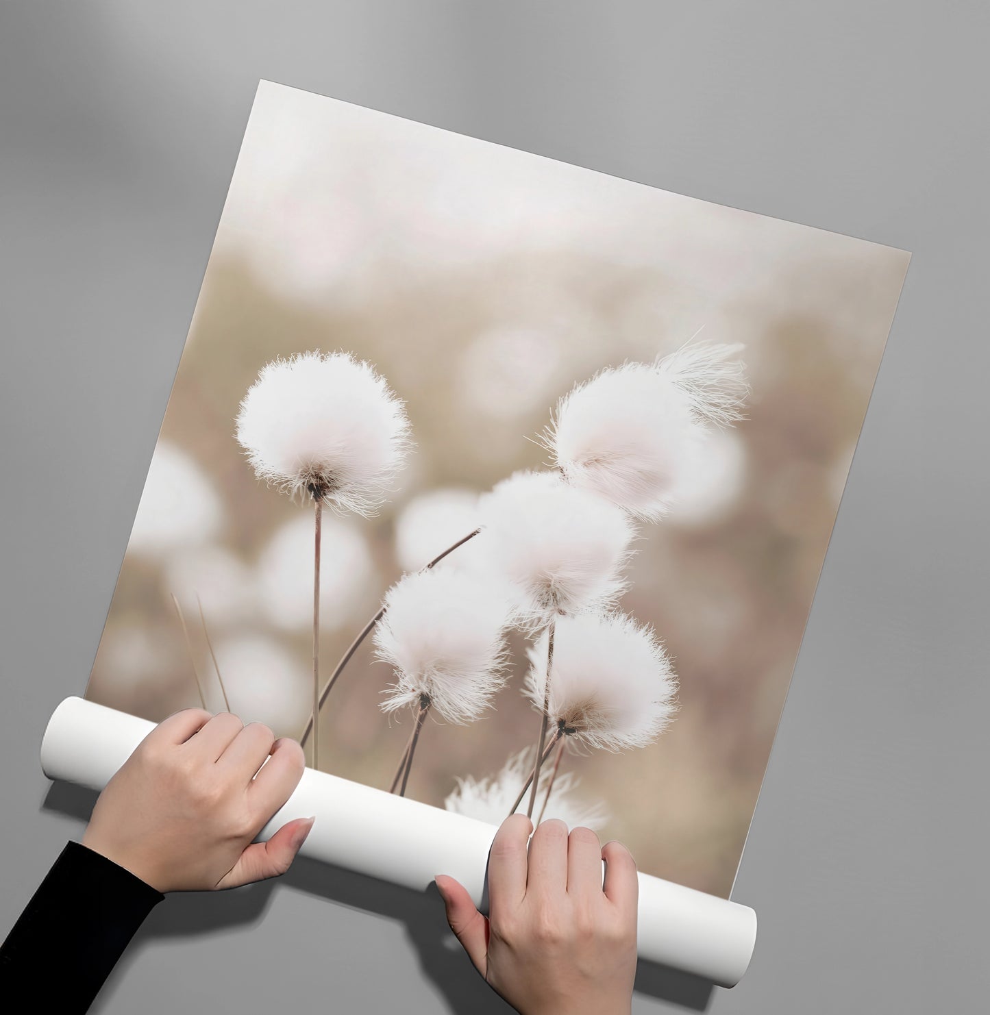 2Minimalist Botanical - Poster