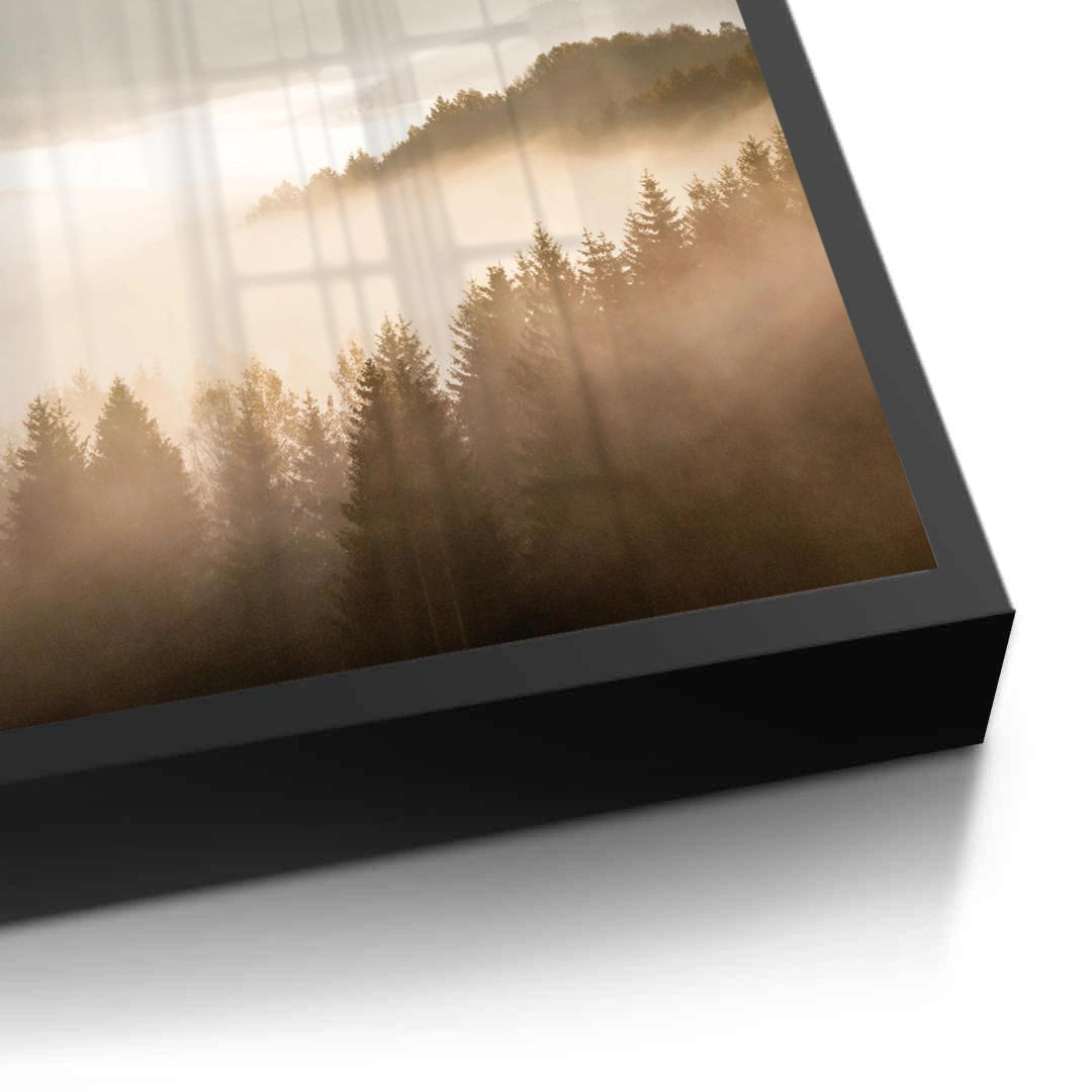 2Minimalist Foggy Pine Landscape - Fine Art
