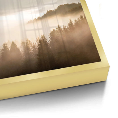 Minimalist Foggy Pine Landscape - Fine Art