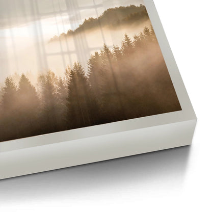 Minimalist Foggy Pine Landscape - Fine Art