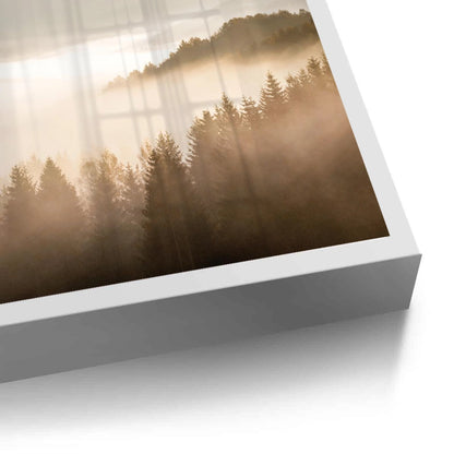 Minimalist Foggy Pine Landscape - Fine Art