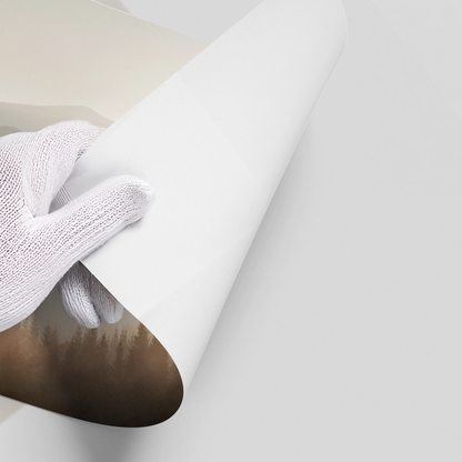 Minimalist Foggy Pine Landscape - Poster