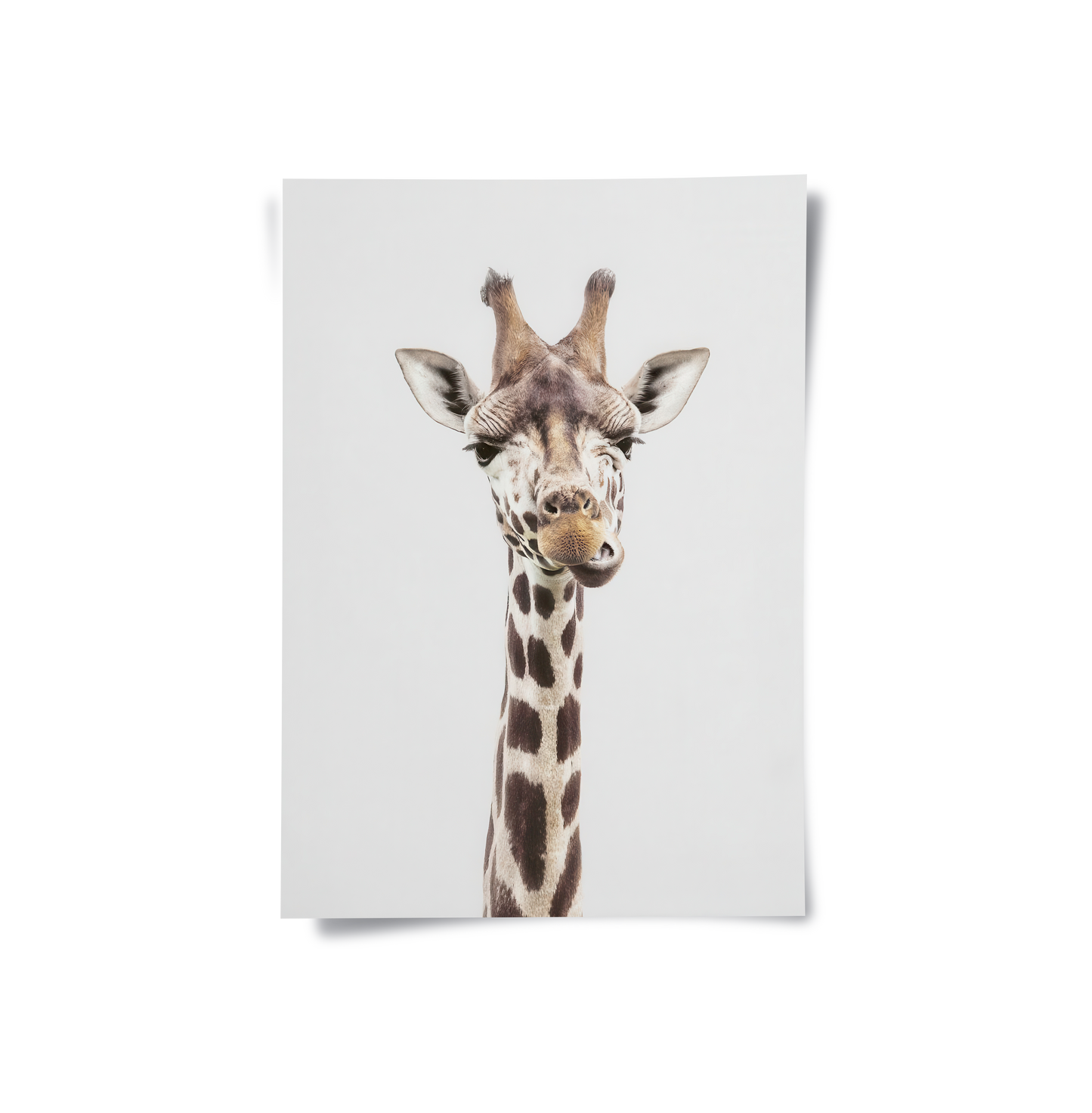 2Minimalist Giraffe - Poster