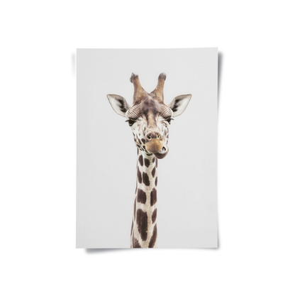 Minimalist Giraffe - Poster